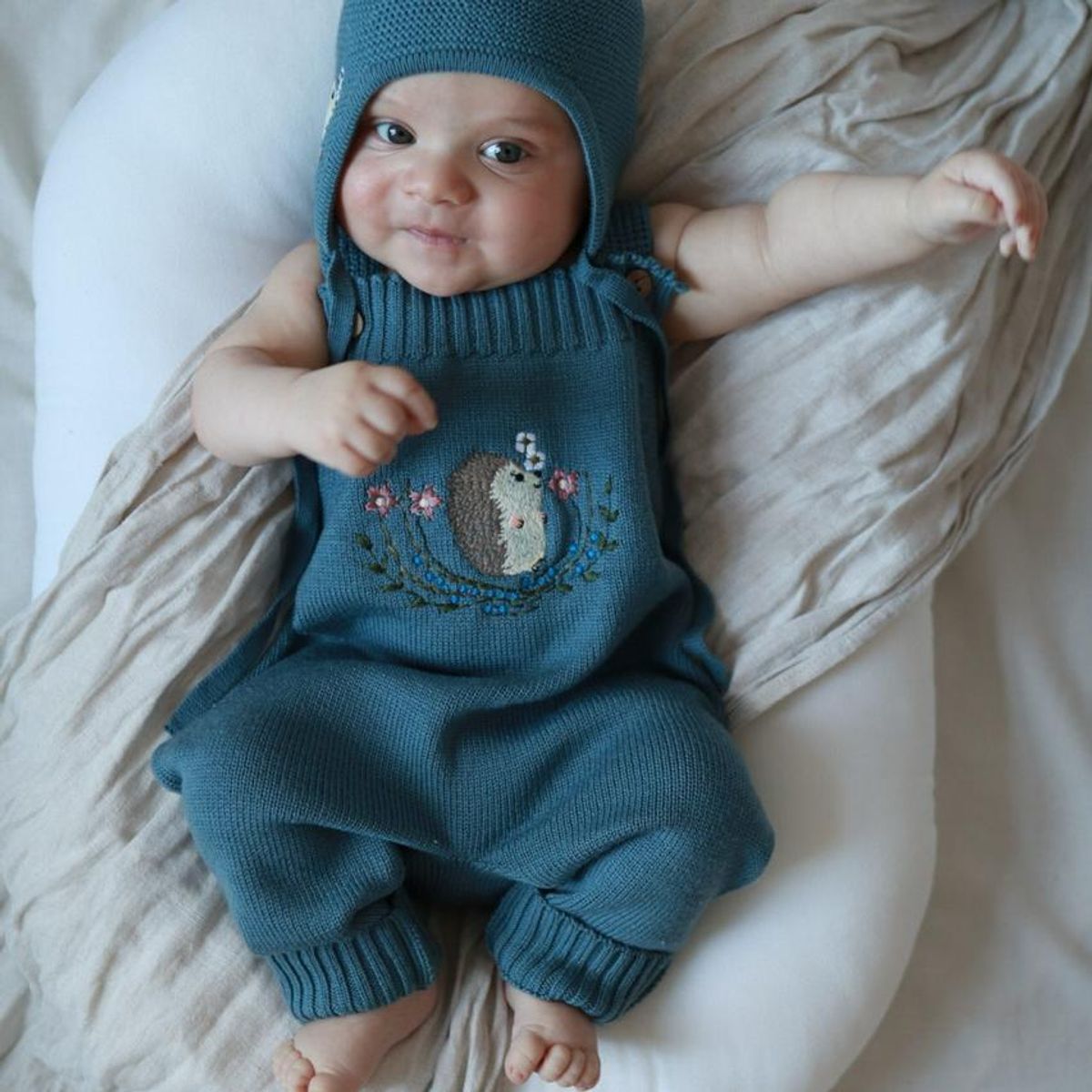 Selebukse Gotland, gråblå